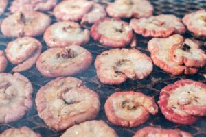 massive intestinal ascariasis