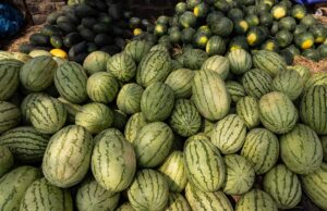 wholesale inflation September